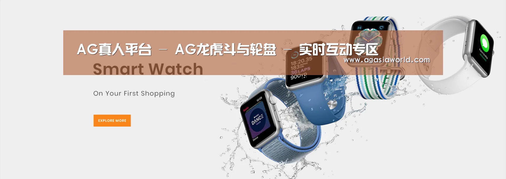 某某网络科技有限公司