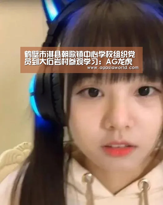 鹤壁市淇县朝歌镇中心学校组织党员到大石岩村参观学习:AG龙虎(图2) AG真人